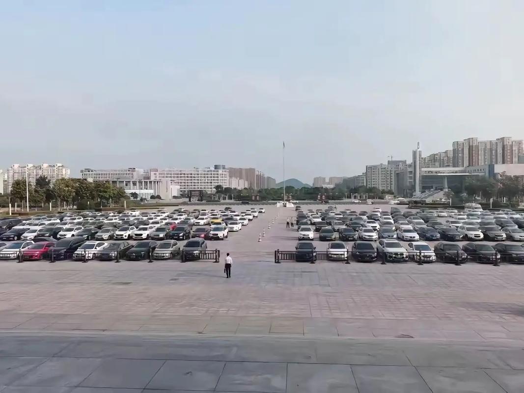 专业化政府翻译服务的价值与流程解析