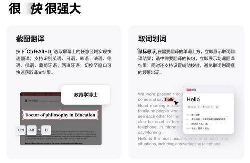 网易有道词典9上线 多场景精准翻译，学术研究需求全覆盖